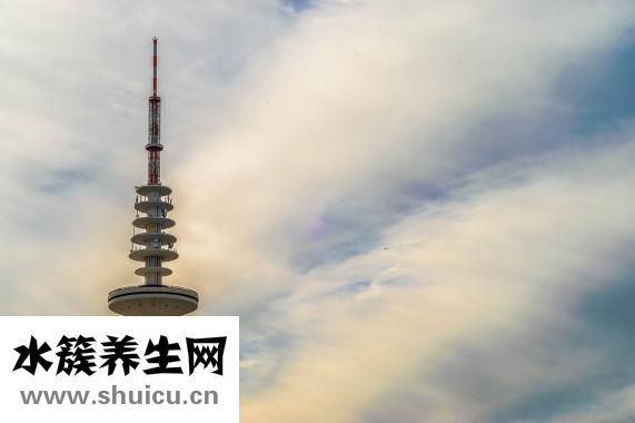 什么是陽虛