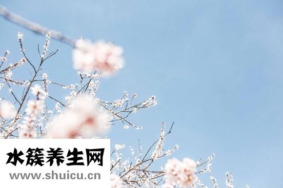 專業祛痘方法