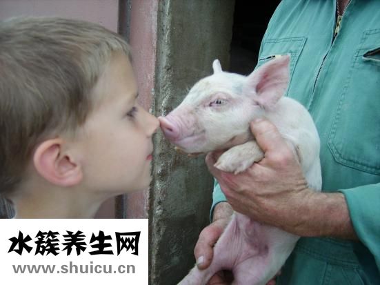 岳肥濕白癢
