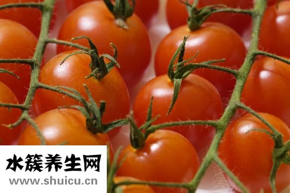 下眼瞼皺紋