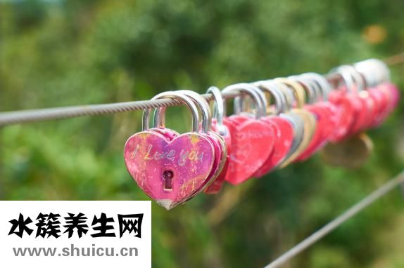 五靈止痛膠囊