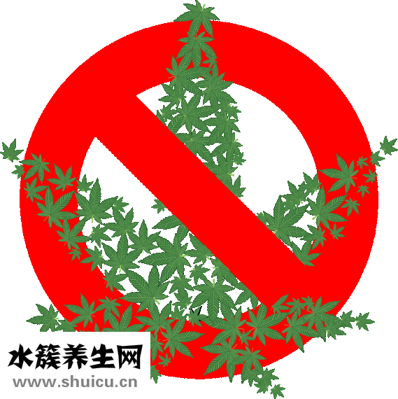 怎么解決痔瘡