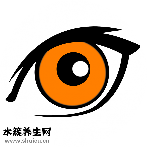 下眼瞼皺紋