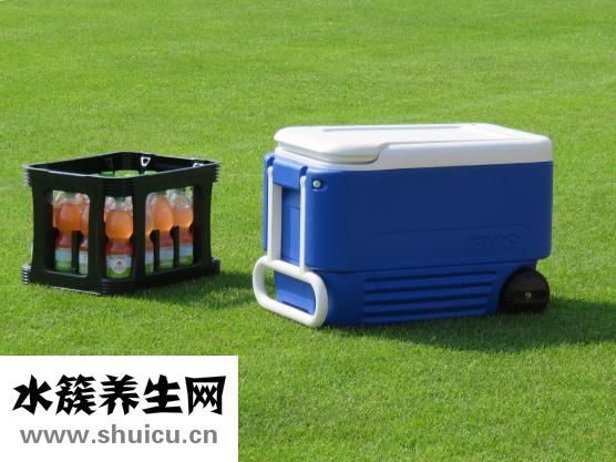 什么是陽虛