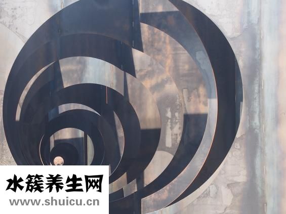 右腦的功能