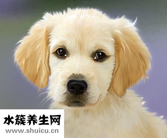 啫喱狀眼霜