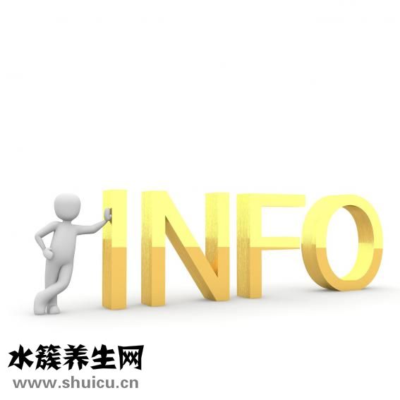 頭昏掛什么科