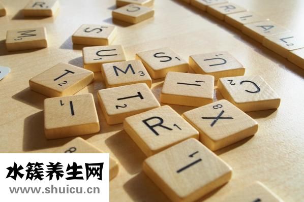 右腦的功能