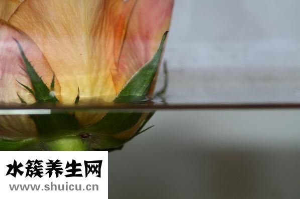 姨媽巾怎么用
