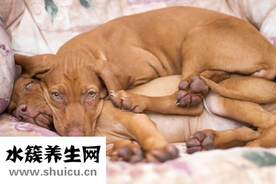 姨媽巾怎么用