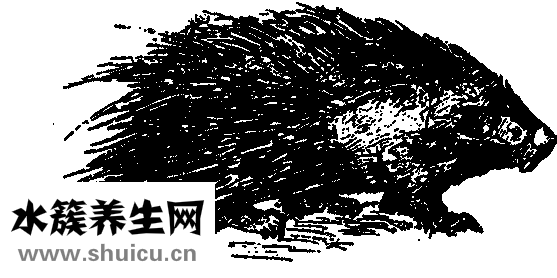 小兒按摩網