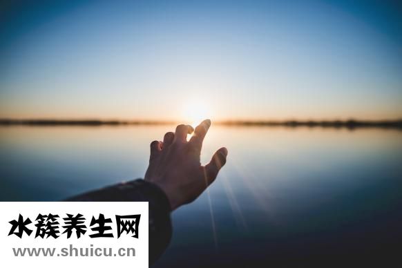 含鉀高的水果