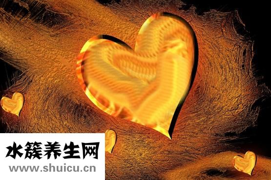 心臟的圖片