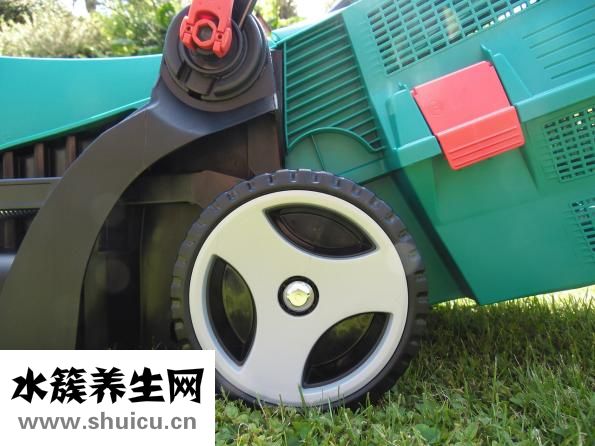 手動打發蛋清