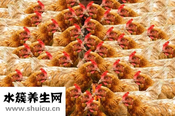 手動打發蛋清
