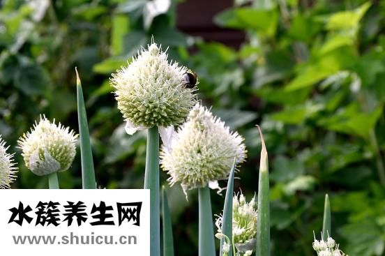為什么會反胃