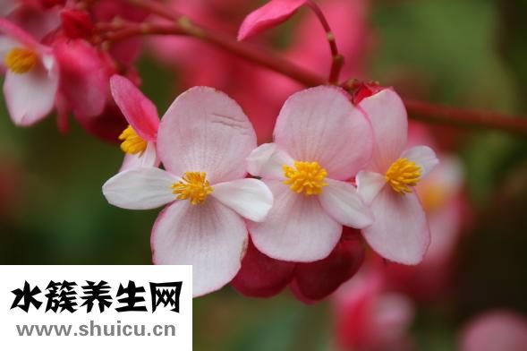 為什么會反胃