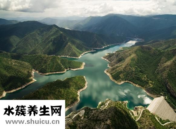 發芽的板栗還能吃嗎