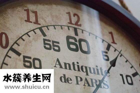 涼拌西葫蘆絲