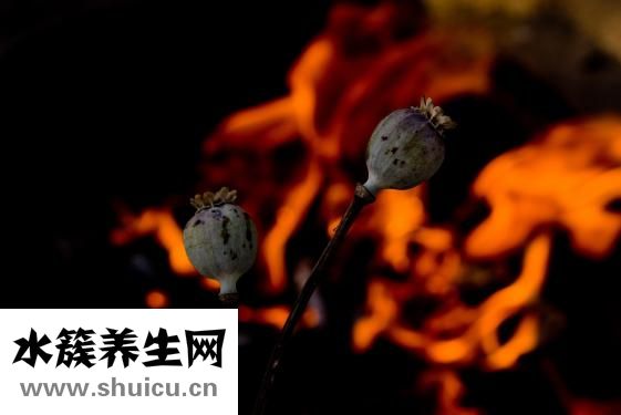 仁和清火膠囊
