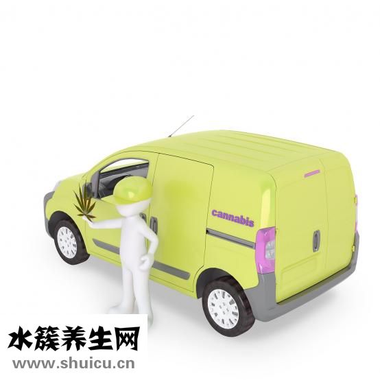 養心安眠膠囊