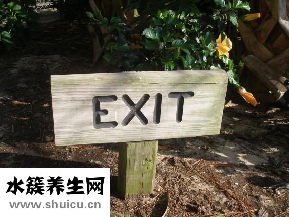 什么是臥蠶