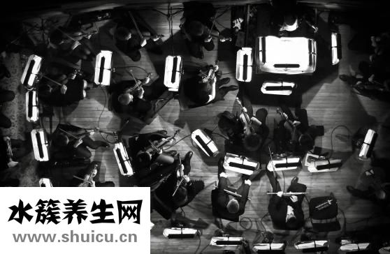 三奇堂養生健肝茶