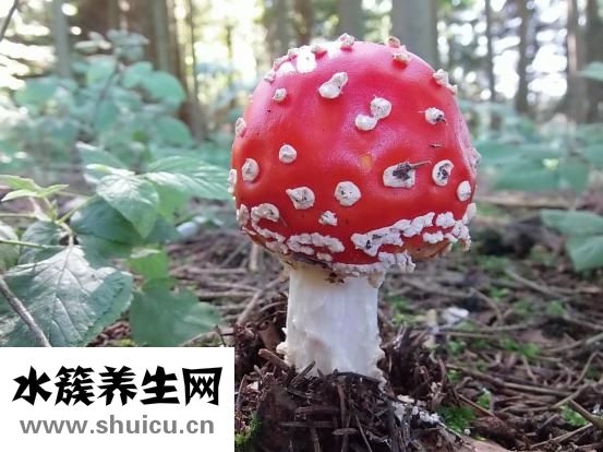 怎么去痘痘印