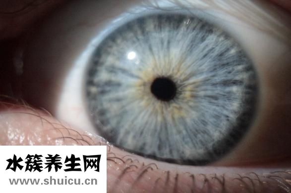 什么是化妝水