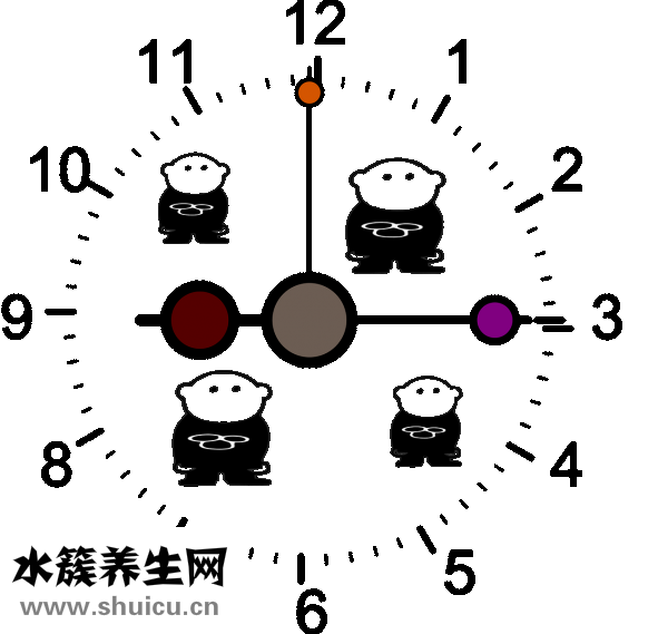 怎樣煮凍餃子