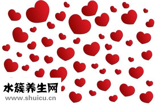心臟血管堵塞