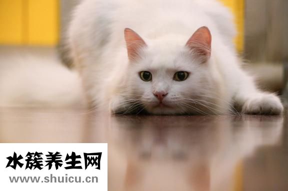 嬰兒喂養知識