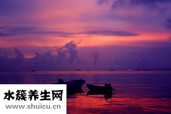 孕婦補鈣的最佳時間