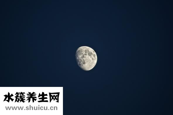 國醫大師王琦