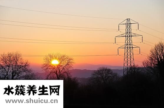 唐篩準確率