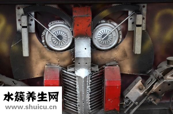 什么的絨毛