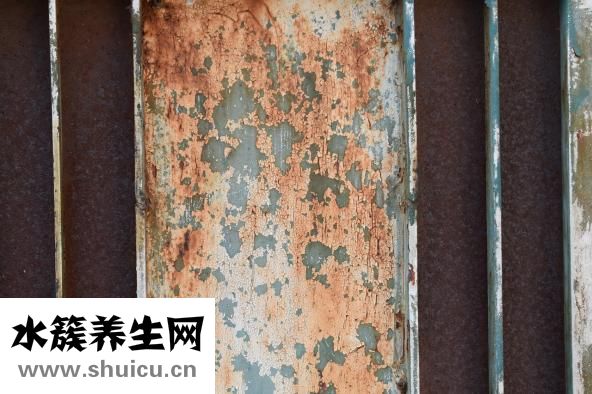 新生兒抽搐