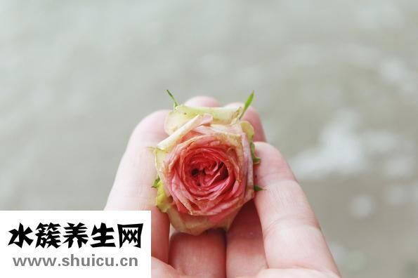 新生兒抽搐