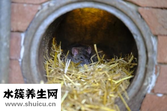 手術治療痤瘡