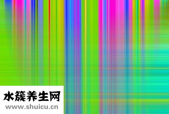 十大補鈣水果