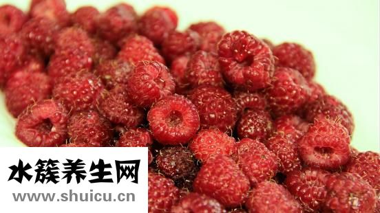 含鐵高的食物