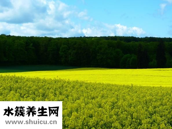 圍絕經期癥狀