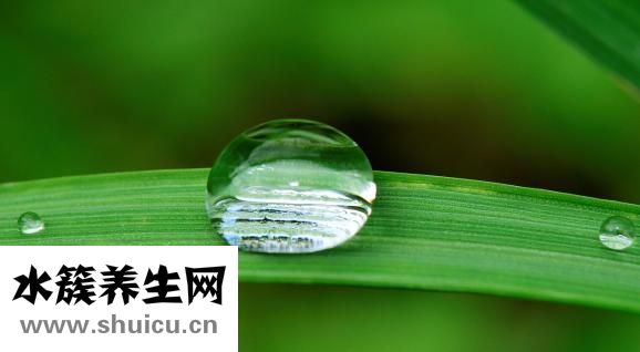 怎么洗血漬