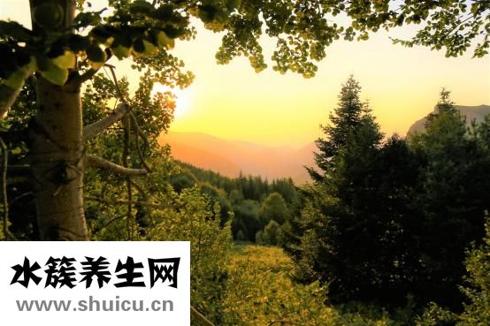 小便黃怎么辦