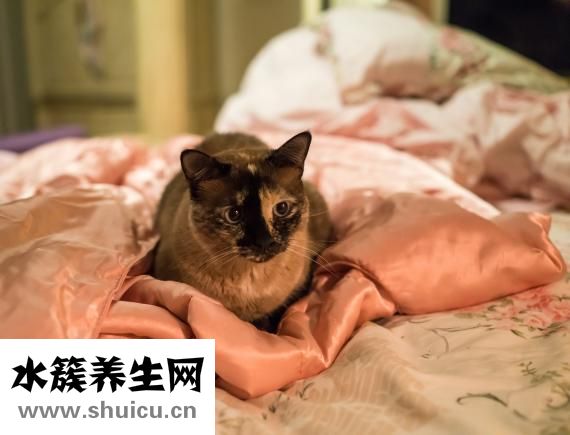 產婦的護理