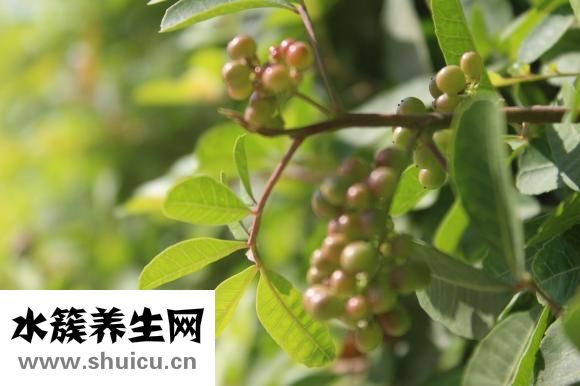 無毒一身輕