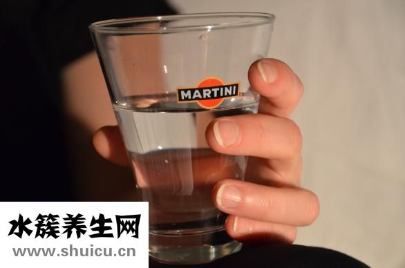 十全大補酒