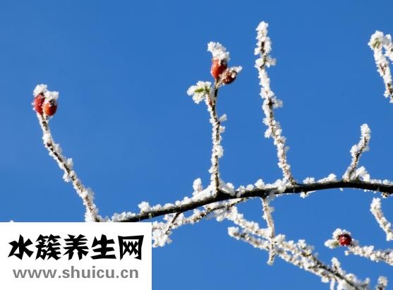 失眠多夢原因