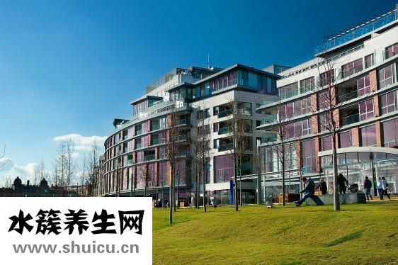塌鼻子怎么辦