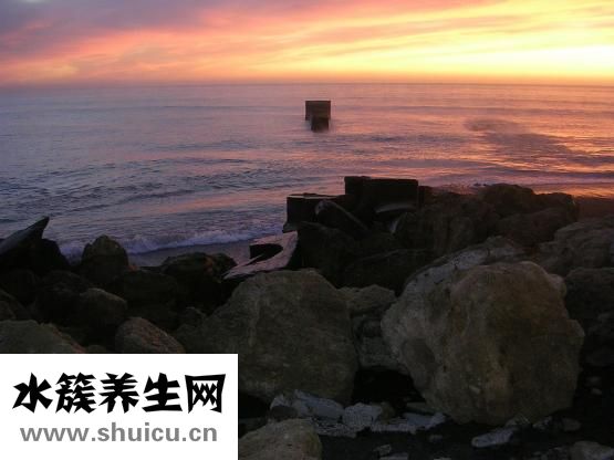 小便黃怎么辦